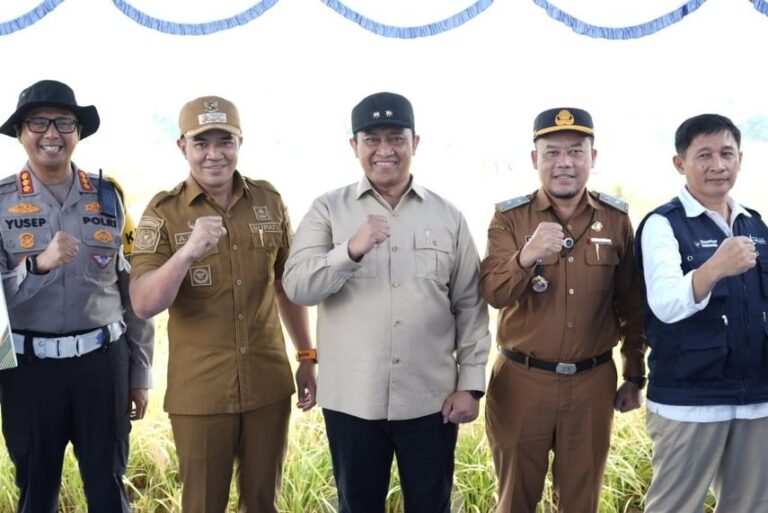Pada Panen Raya Demplot Padi, Pemprov Kalteng Tegaskan Komitmen Program Ketahanan Pangan