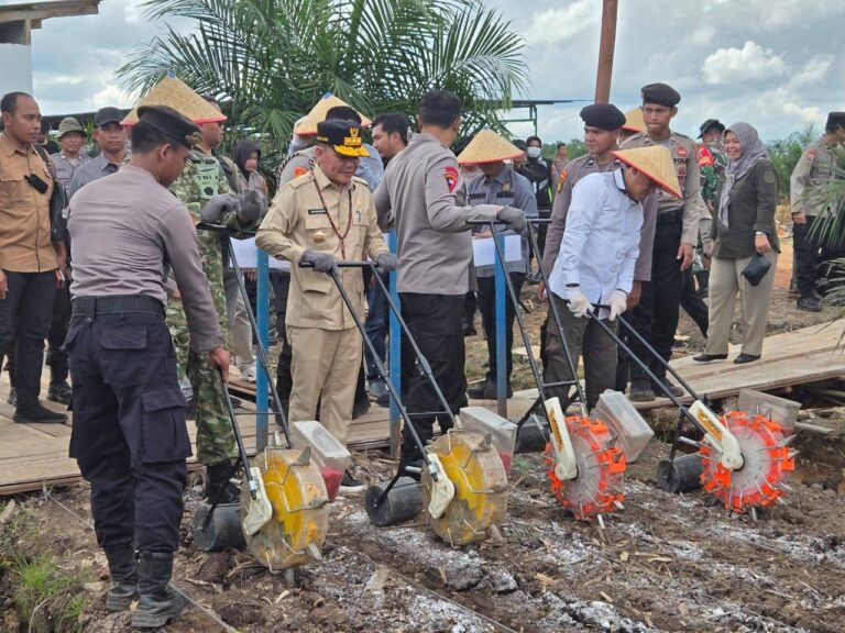 Dukung Program Swasembada Pangan, Gubernur Kalteng Hadiri Tanam Jagung Serentak di Pulang Pisau