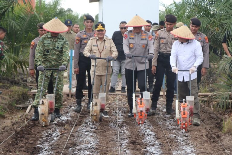 Polda Kalteng dan PT MKM Tanam Jagung di Lahan Sawit, Dukung Swasembada Pangan 2026