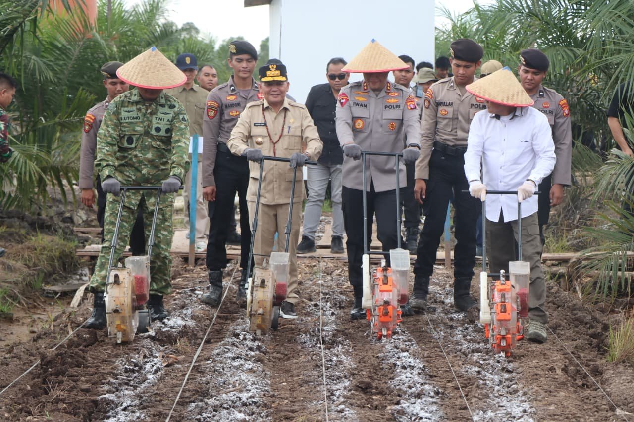 Polda Kalteng dan PT MKM Tanam Jagung di Lahan Sawit, Dukung Swasembada Pangan 2026